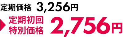 定期初回特別価格で注文