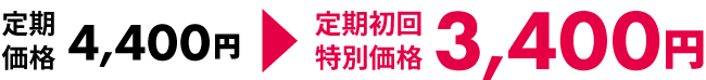 定期初回特別価格で注文