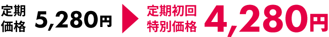定期初回特別価格で注文
