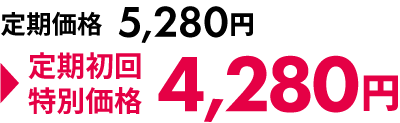 定期初回特別価格で注文