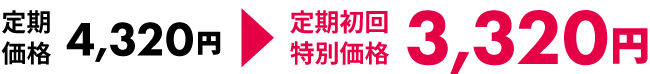 定期初回特別価格で注文