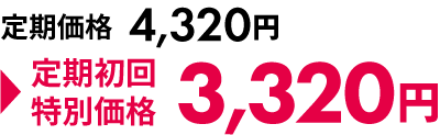 定期初回特別価格で注文