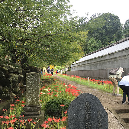 西方寺参道