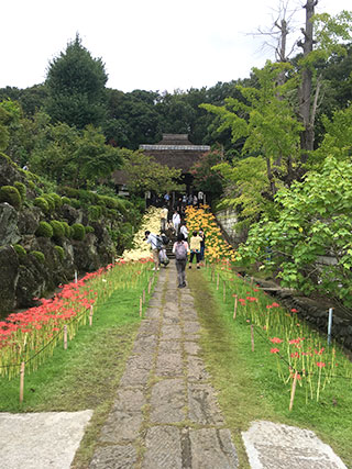 西方寺参道