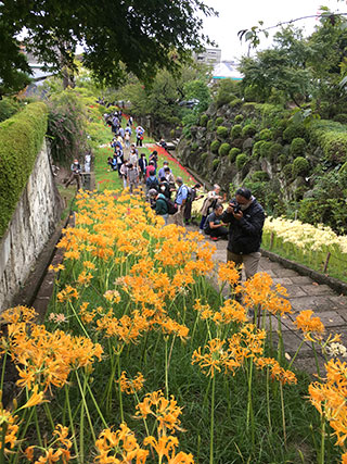 西方寺参道