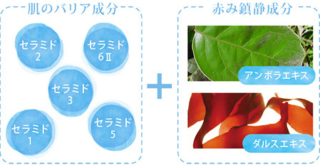 セラミドと赤み沈静成分